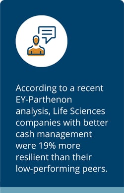 EY Parthenon Analysis Report