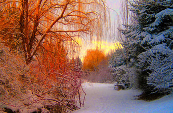Year-Round Resiliency: A Guide to Seasonal Maintenance