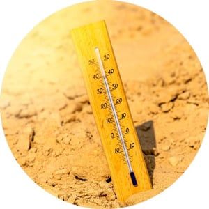 Ground Thermometer