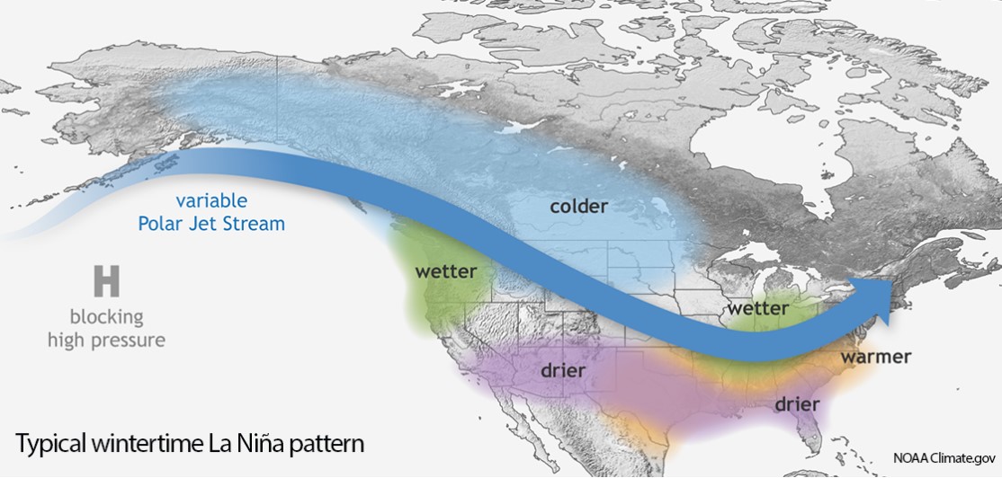 Typical Wintertime La Nina Pattern