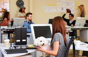Is the remote work experiment over yet?